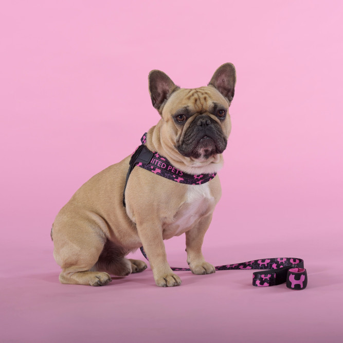 United Pets Complete me Identity шлейка для собак, 3,5 x 48-64 см, черная с розовым