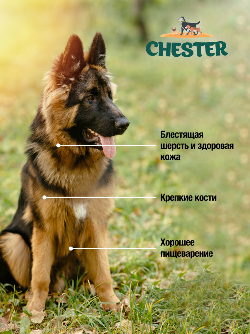 Chester влажный корм для взрослых собак всех пород, с говядиной и сердцем, в консервах - 850 г х 6 шт