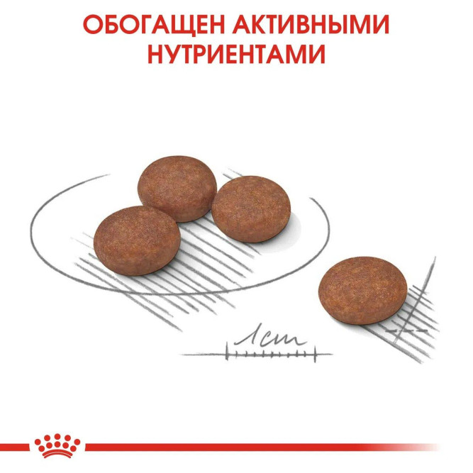 Royal Canin Mini Digestive Care сухой корм для собак с чувствительным пищеварением - 1 кг