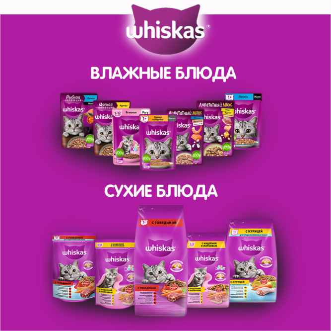 Whiskas Вкусные подушечки с нежным паштетом сухой корм для взрослых кошек Аппетитное ассорти с курицей и индейкой - 1,9 кг