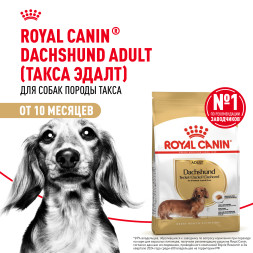 Royal Canin Dachshund Adult для взрослых собак породы Такса - 1,5 кг