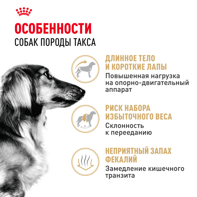 Royal Canin Dachshund Adult для взрослых собак породы Такса - 1,5 кг