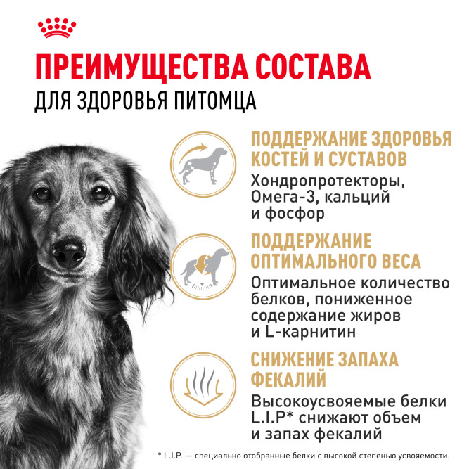 Royal Canin Dachshund Adult для взрослых собак породы Такса - 1,5 кг