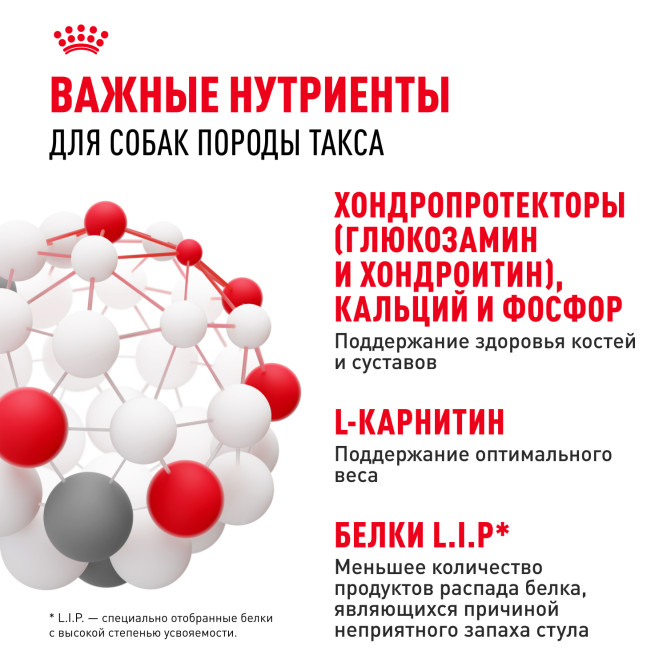 Royal Canin Dachshund Adult для взрослых собак породы Такса - 1,5 кг