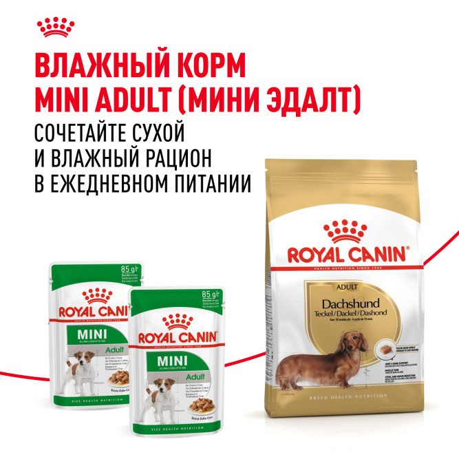 Royal Canin Dachshund Adult для взрослых собак породы Такса - 1,5 кг