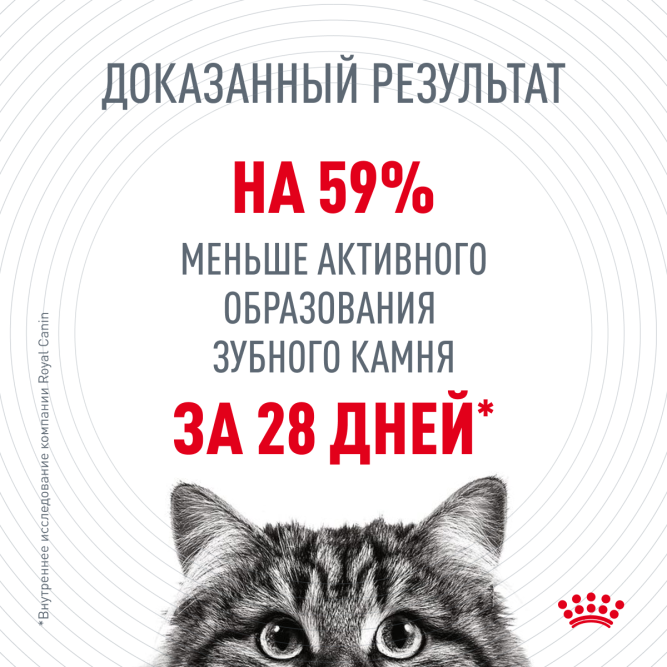Royal Canin Dental Care для кошек для эффективного поддержания гигиены полости рта и пищеварительного тракта - 1,5кг