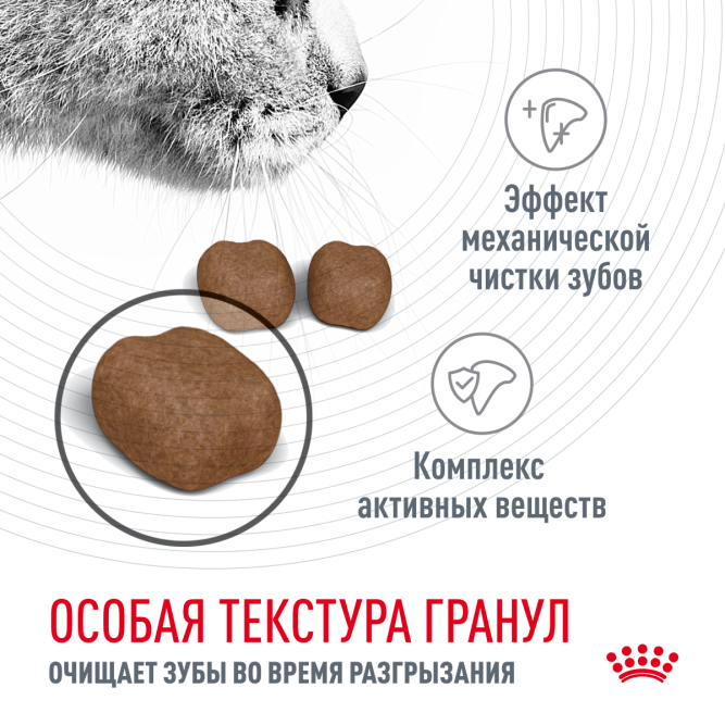 Royal Canin Dental Care для кошек для эффективного поддержания гигиены полости рта и пищеварительного тракта - 1,5кг