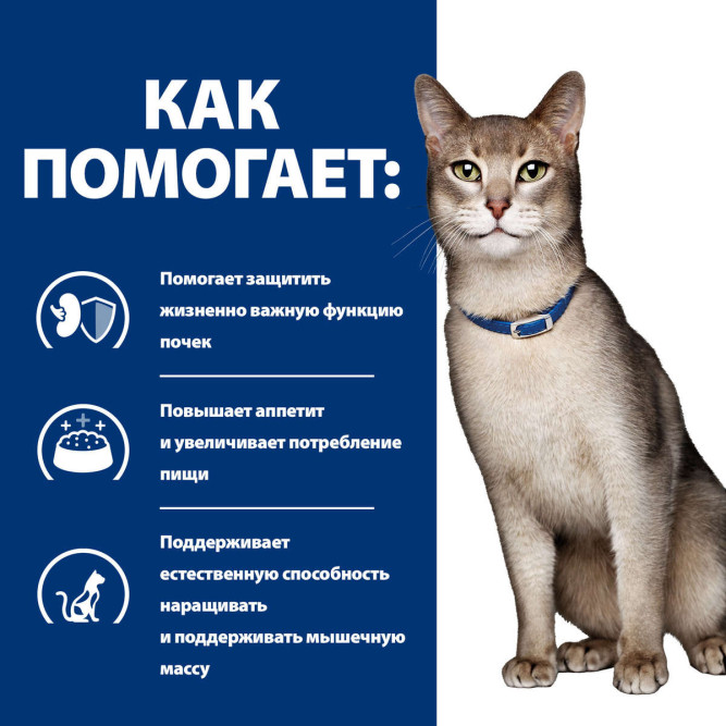 Hills Prescription Diet k/d Kidney Care влажный диетический корм для кошек для поддержания здоровья почек с курицей - 85 г х 12 шт