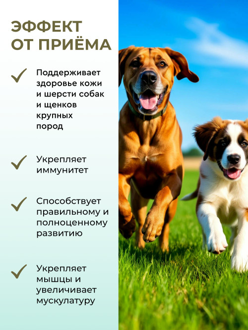 VitraPets Brewer's Yeast Vital Derma Maxi Puppy&amp;Dog кормовая добавка для щенков и взрослых собак крупных пород с биотином - 60 таблеток
